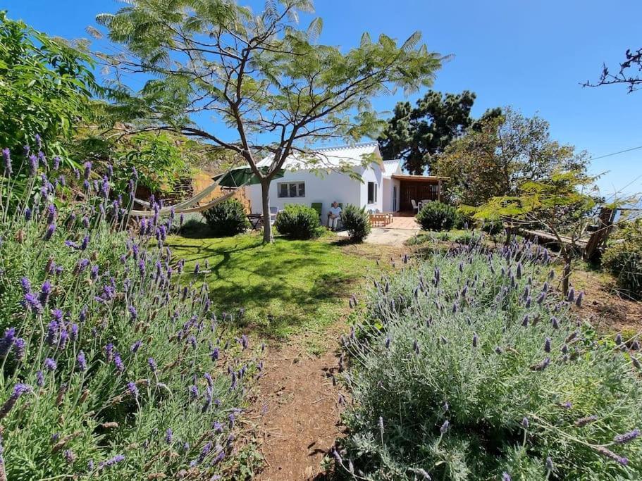 Casa Aram Lapalmahouse Holiday home *